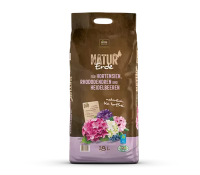 NATUR Erde Hortensien, Rhododendren NATUR Erde Hortensien, Rhododendren
