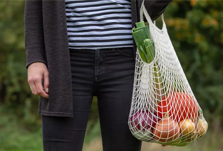 Einkaufsnetz mit Gemüse Einkaufsnetz mit Gemüse