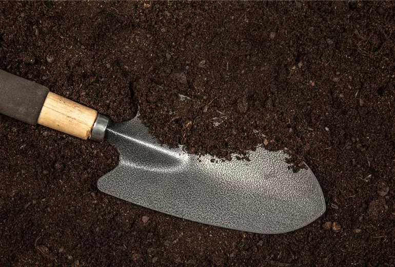 Gartenwerkzeuge auf Erde Gartenwerkzeuge auf Erde