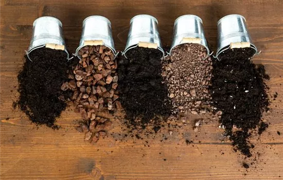 Die passende Erde für die Lieblingspflanzen in Haus und Garten Die passende Erde für die Lieblingspflanzen in Haus und Garten