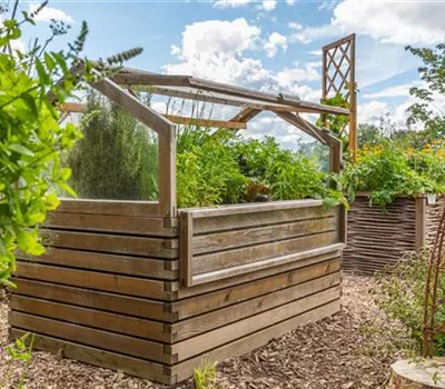 Gemüseanbau im Hochbeet - Ein neuer Trend nach alten Regeln Gemüseanbau im Hochbeet - Ein neuer Trend nach alten Regeln