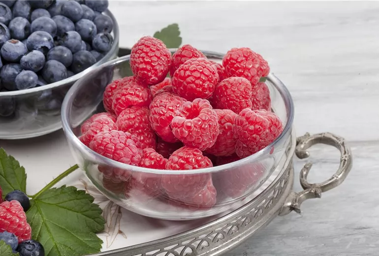 Rubus idaeus Rubus idaeus