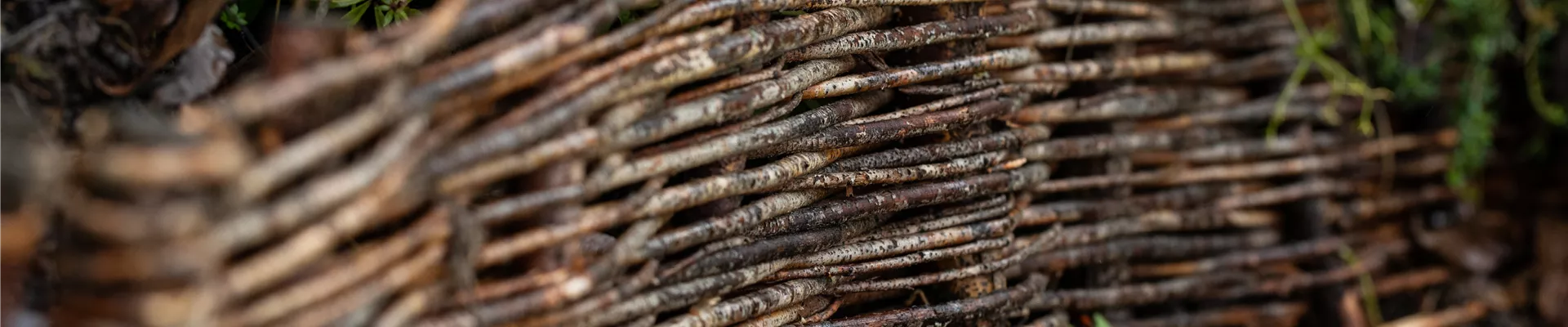 Beeteinfassung aus Weide Beeteinfassung aus Weide