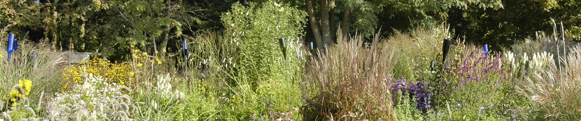 Staudenbeet mit Ziergräsern Staudenbeet mit Ziergräsern