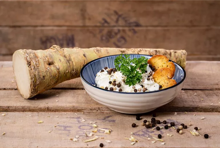 Dips - Meerrettich-Dip