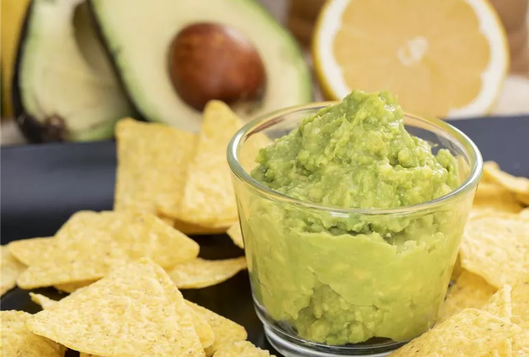 Avocadodip