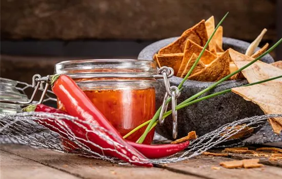 Scharfer Peperonidip Scharfer Peperonidip