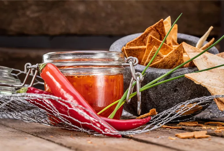 Dips - Chili-Dip