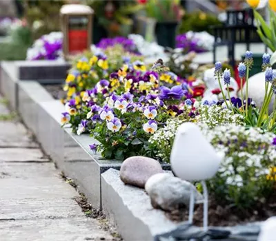 Eine ganzjährige Grabbepflanzung für ein stilvolles Andenken Eine ganzjährige Grabbepflanzung für ein stilvolles Andenken