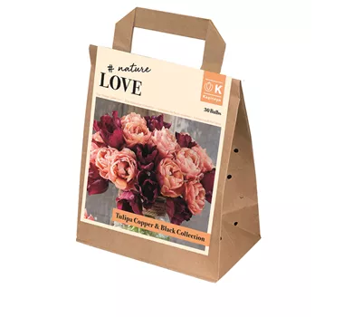 Blumenzwiebel 'Spring Mix' Copper&Black