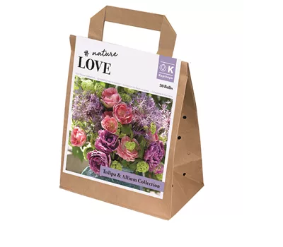 Blumenzwiebel 'Spring Mix' Tulpen&Allium Blumenzwiebel 'Spring Mix' Tulpen&Allium