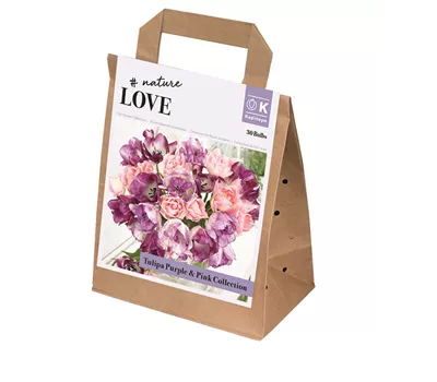 Blumenzwiebel 'Spring Mix' Pastel Blumenzwiebel 'Spring Mix' Pastel