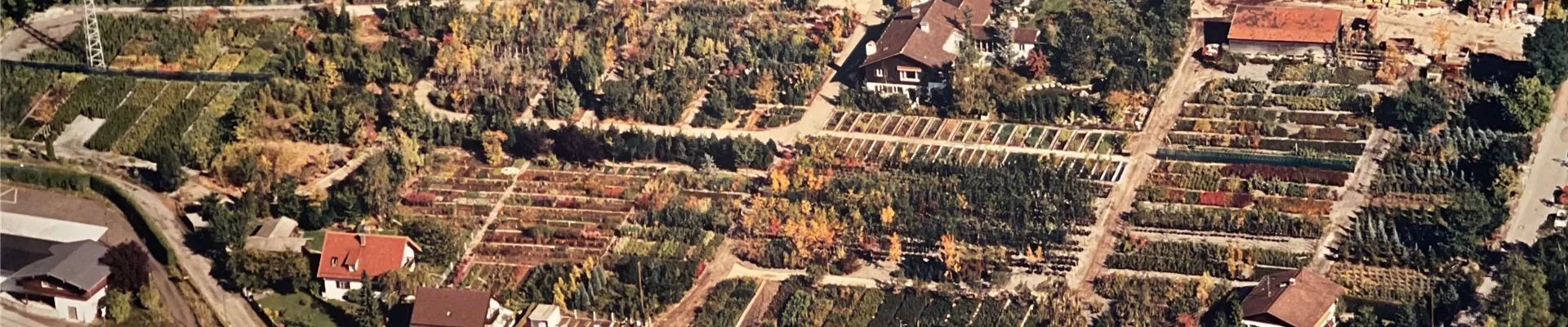 Baumschule Sauer Riedhausen Baumschule Sauer Riedhausen