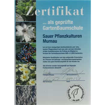 Zertifikat geprüfte Baumschule Zertifikat geprüfte Baumschule