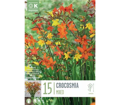 Crocosmia 'Floramixed'