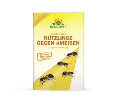 Nützlinge gegen Ameisen Nützlinge gegen Ameisen