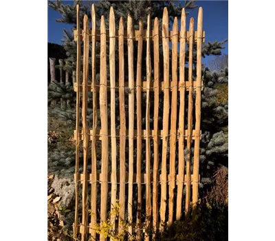 Edelkastanie Sichtschutzelement, natur