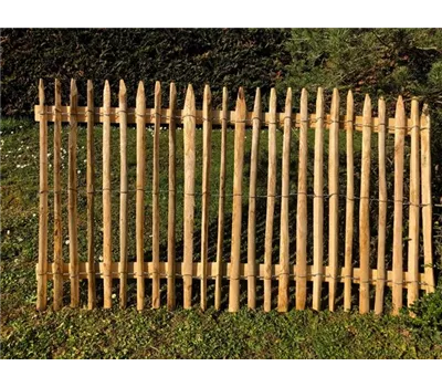 Edelkastanie Zaunelement Typ 'Colmar'