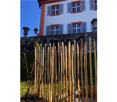 Edelkastanie Staketenzaun 'Schwarzwald'