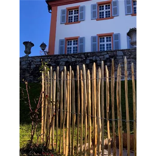 Edelkastanie Staketenzaun 'Schwarzwald' Edelkastanie Staketenzaun 'Schwarzwald'
