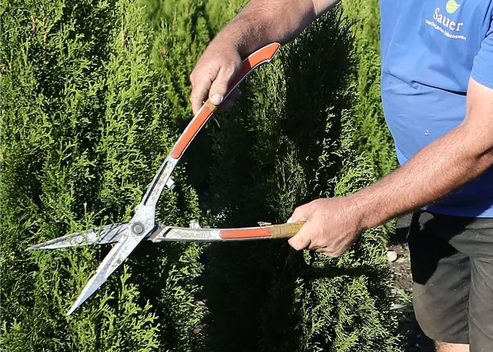 Gartenkurs Sträucherschnitt und Baumschnitt im Sommer
