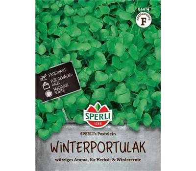 Winterportulak Samen SPERLI Winterportulak Samen SPERLI