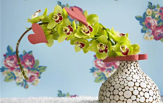 Grün durch den Winter: die Top 8 der Winterblumen Grün durch den Winter: die Top 8 der Winterblumen