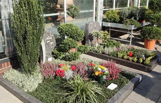 Doppelgrab - Grabbepflanzung im Herbst Doppelgrab - Grabbepflanzung im Herbst