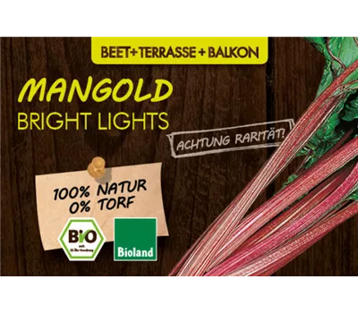 Beta vulgaris, LaBio - Mangold