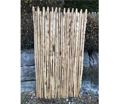 Edelkastanie Sichtschutzelement 'Jura'