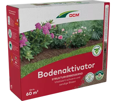 Bodenaktivator DCM