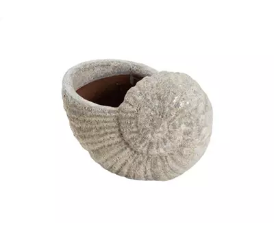 Muschel Sandblast antik GK3152