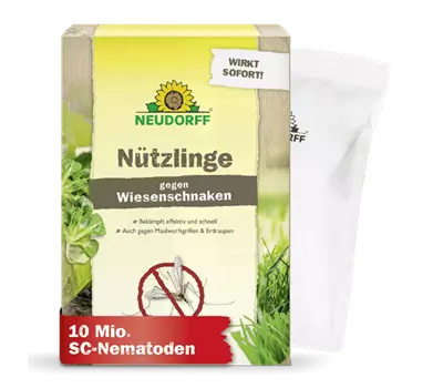 Nützlinge gegen Wiesenschnaken und