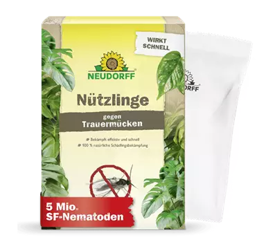 Nützlinge gegen Trauermücken