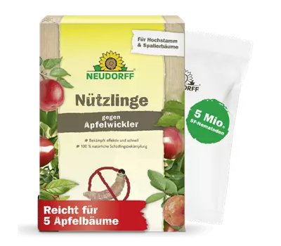 Nützlinge gegen Apfelwickler
