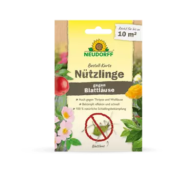 Nützlinge gegen Blattläuse, Thripse und