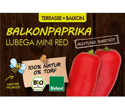 Capsicumm annuum, LaBio - Balkonpaprika