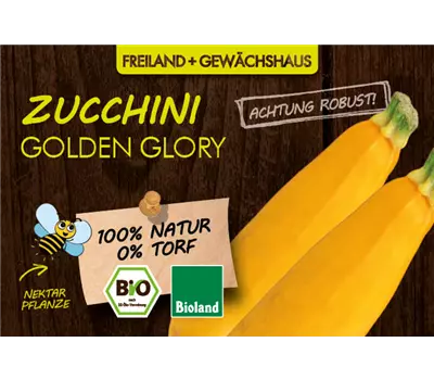 Cucurbita pepo, LaBio - Zucchini