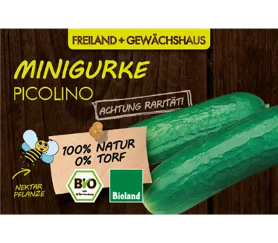 Cucumis sativus, LaBio - Gurke