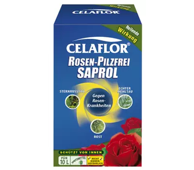 Rosen-Pilzfrei Saprol Konzentrat