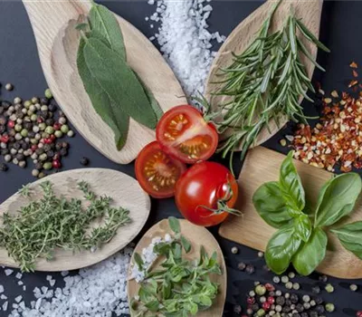 Immer frische Kräuter im Garten für Küchenprofis Immer frische Kräuter im Garten für Küchenprofis