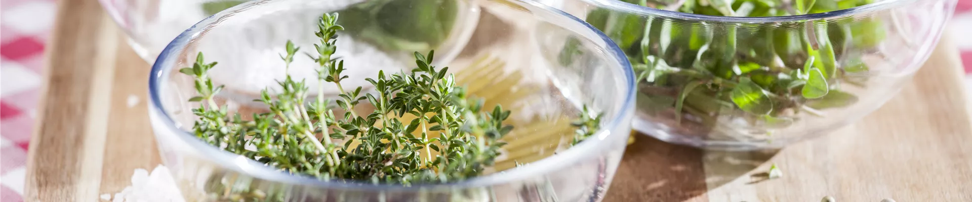 Küchenkräuter Küchenkräuter