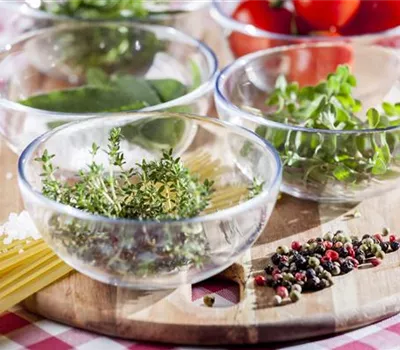 Einjährige Kräuter: Petersilie, Dill und Co. aussäen Einjährige Kräuter: Petersilie, Dill und Co. aussäen