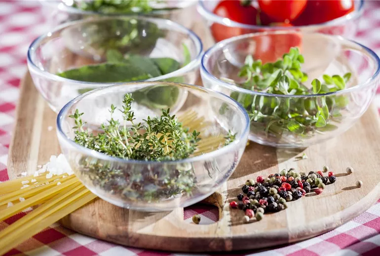 Küchenkräuter Küchenkräuter